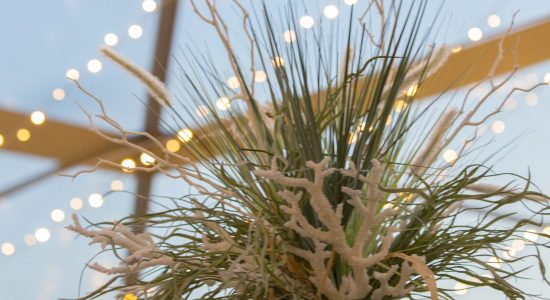 Seashore themed floral centerpiece featuring white coral, green seagrass and a green glass vase