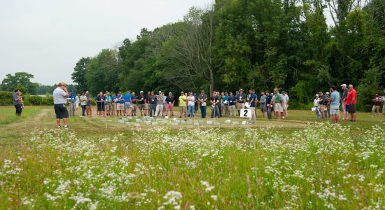 People standing in a meadow during the 2022 UConn Turfgrass Field Conference