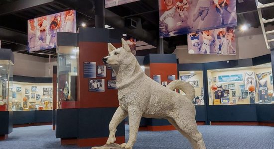 UConn Husky Sports Museum interior with a white husky statue in foreground and large photos of UConn sporting events are suspended from the ceiling in the background