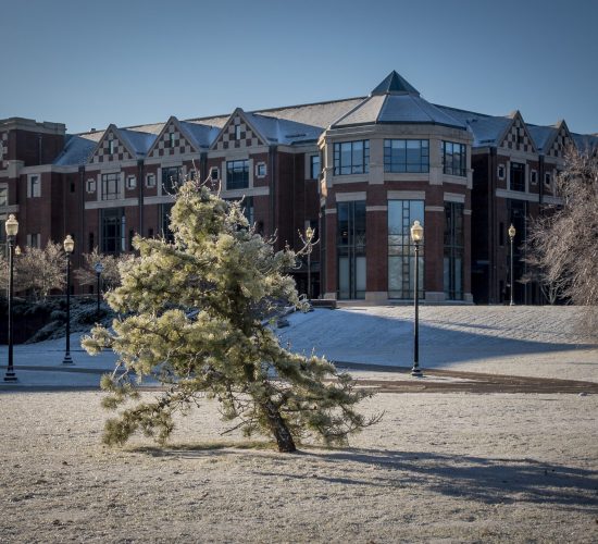 Exterior view of the Rome Ballroom building in UConn's South campus in winter. An ice-covered tree is in the foreground and snow is on the ground.